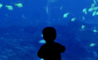 Great Lakes Aquarium